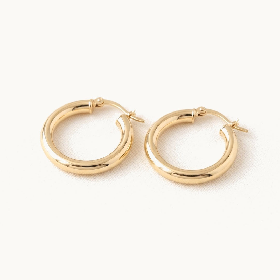 Small Hoop Earrings