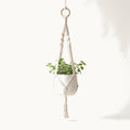 Hanging Rope Planter