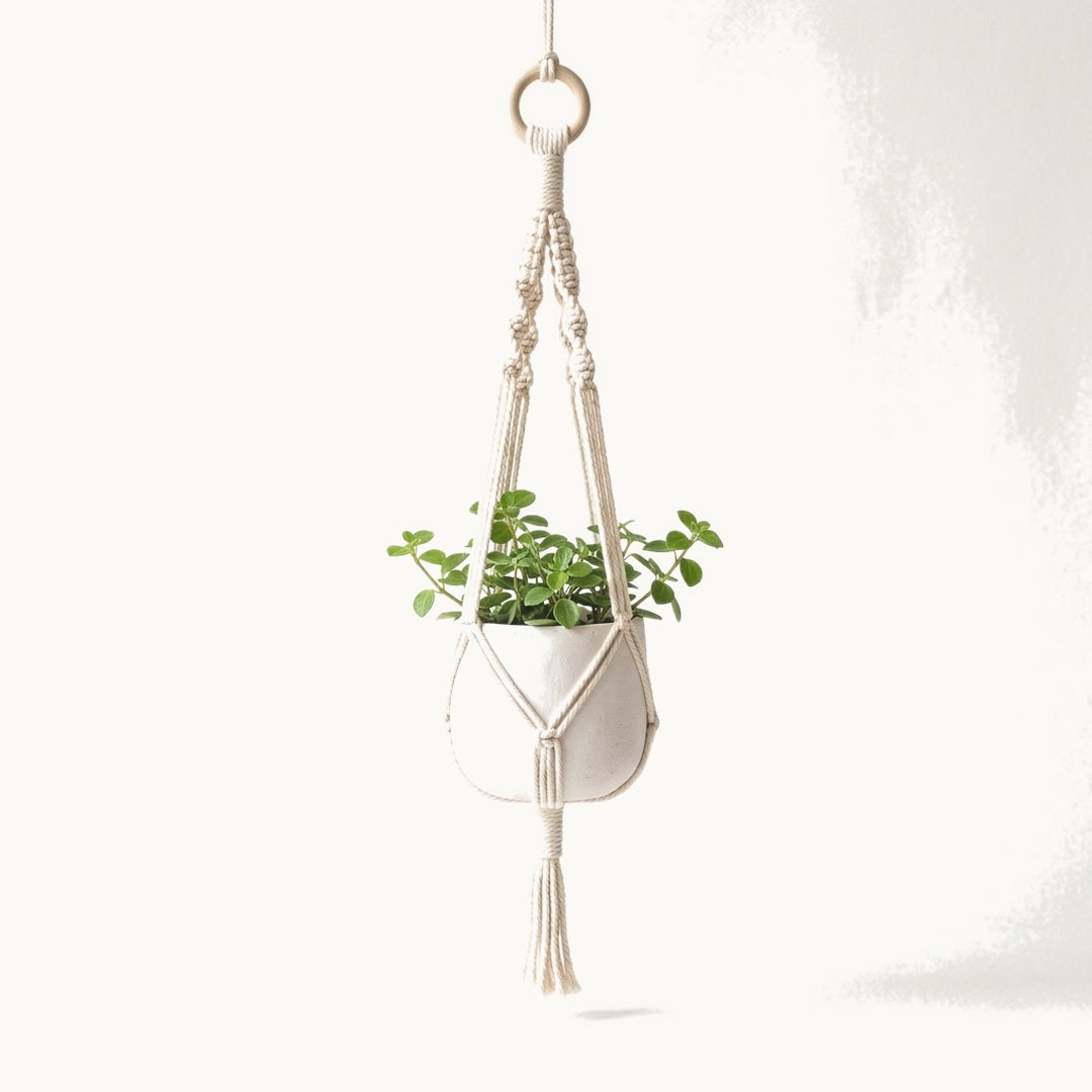 Hanging Rope Planter