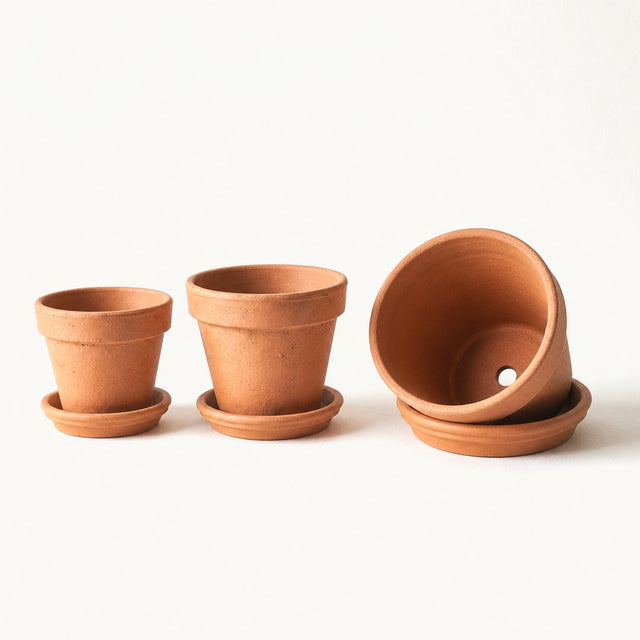 Terracotta Planters - 3