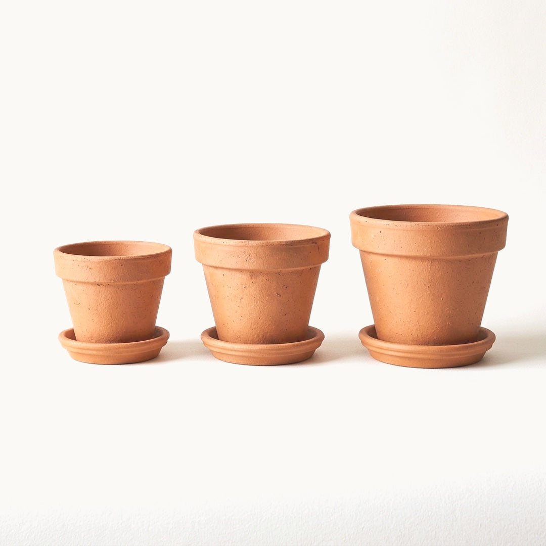 Terracotta Planters - 3